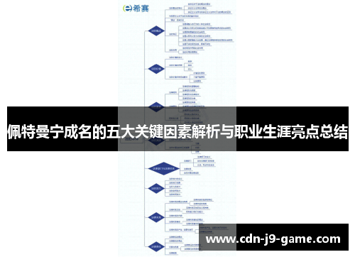 佩特曼宁成名的五大关键因素解析与职业生涯亮点总结