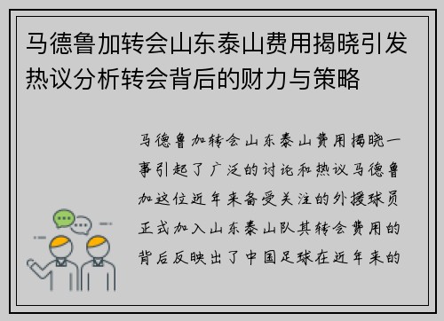 马德鲁加转会山东泰山费用揭晓引发热议分析转会背后的财力与策略 马德鲁加转会山东泰山费用揭晓引发热议分析转会背后的财力与策略